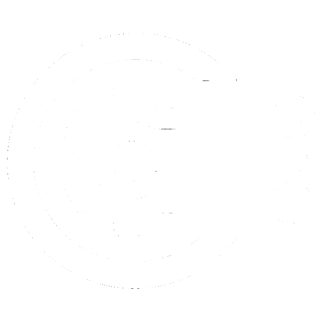Spinax Logo